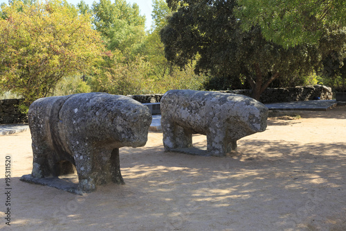 Photos of statues of Toros de Guisando taken in El Tiemblo Spain photo