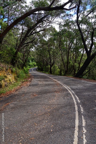 Straße in den Blue Mountains, NSW, Australien