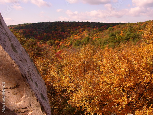 Autumn leaves in Catoctin Forest, Maryland