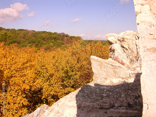 Autumn leaves in Catoctin Forest, Maryland photo