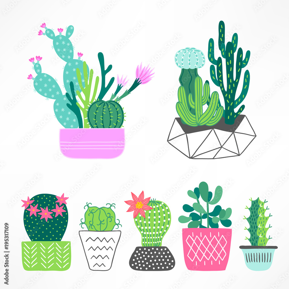 Obraz Set of cactuses and succulents with pots in Turquoise, Pink