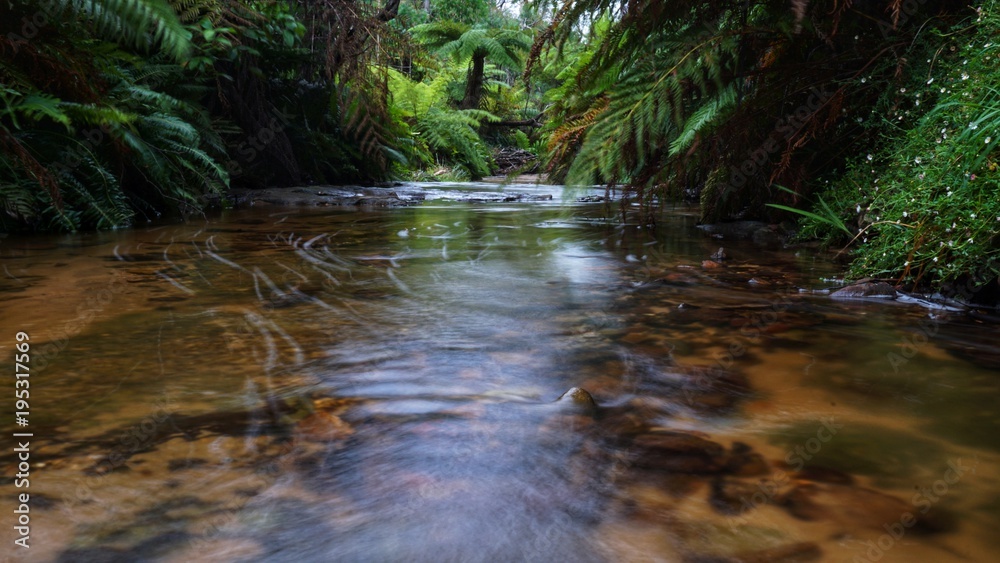 Fototapeta premium Wasserfall in den Blue Mountains in Australien, New South Wales