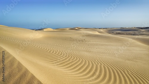 Wüste | Sandwüste am Birubi Beach, NSW, Port Stephens, Australien photo