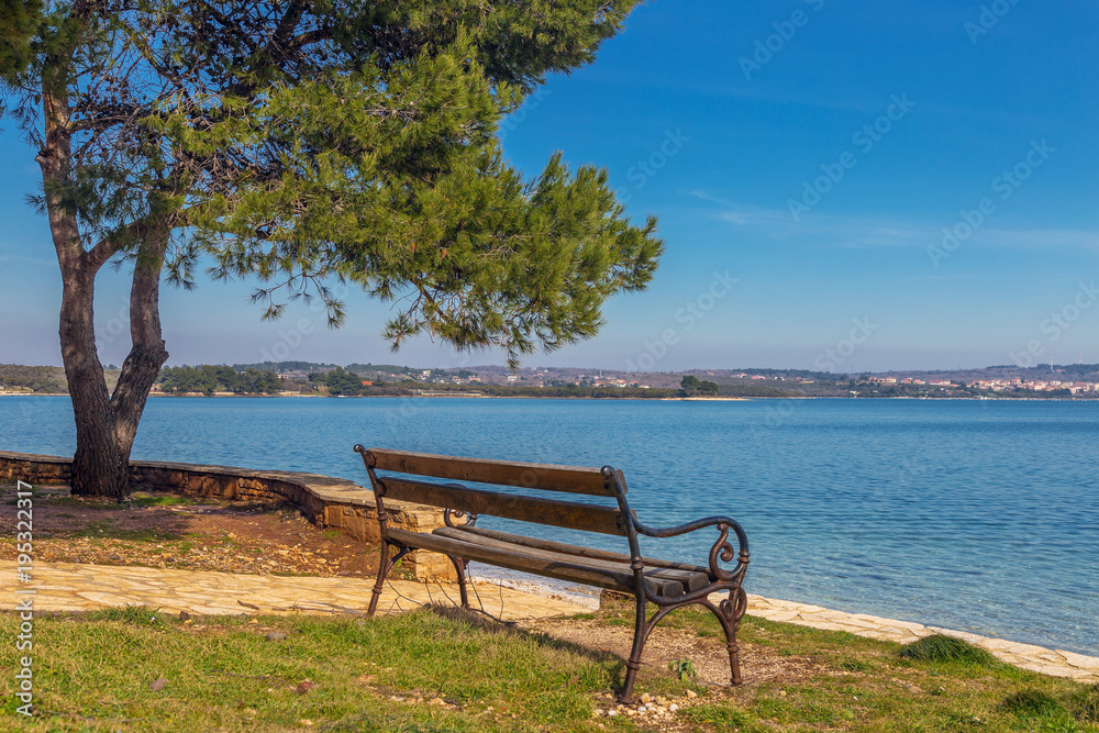 Empty wooden bench