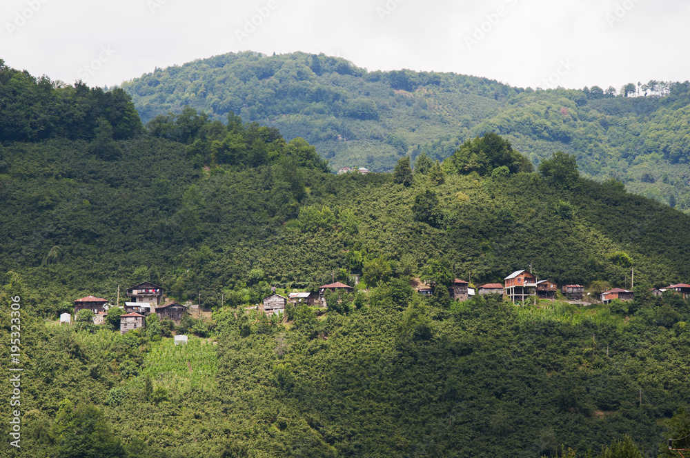 Small village between green hills in capital city of nut Giresun