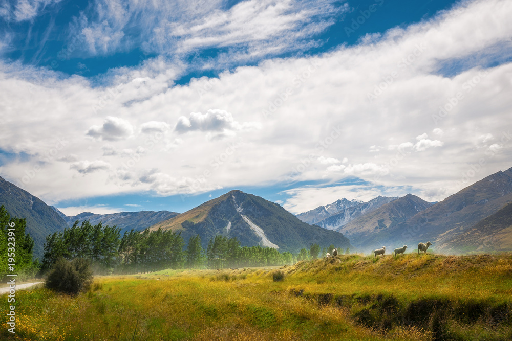 Fototapeta premium Duszpasterska sceneria alpejska na niezamkniętej drodze między Glenorchy i Paradise w Nowej Zelandii