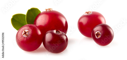 Cranberry isolated on white background