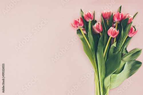 bouquet of beautiful pink tulips with green leaves on pink © LIGHTFIELD STUDIOS