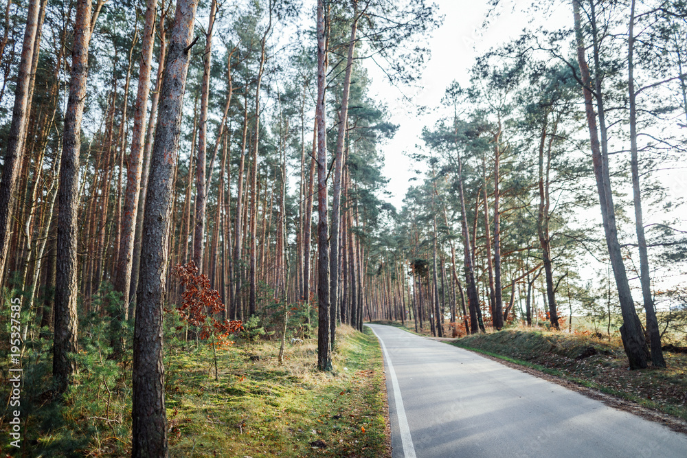 Fototapeta premium Ausflug zum Wolletzsee bei Angermünde