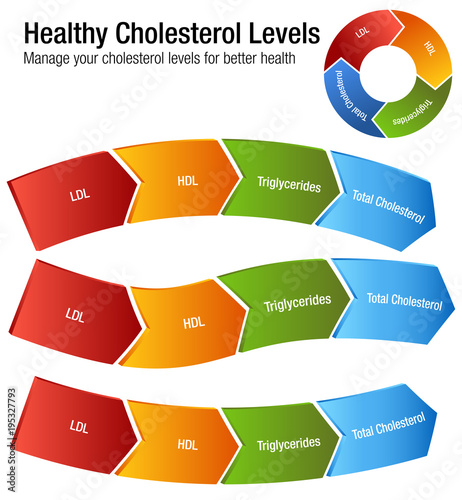 Total Blood Cholesterol HDL LDL Triglycerides Chart