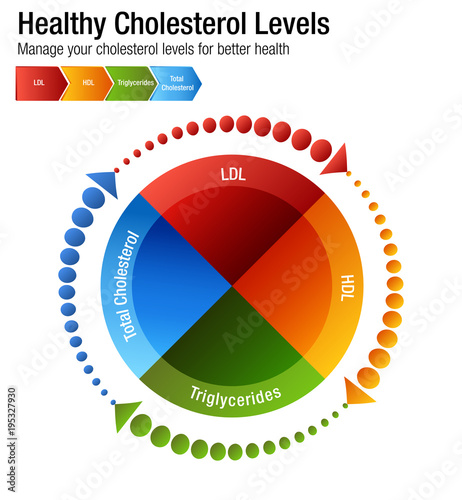 Total Blood Cholesterol HDL LDL Triglycerides Chart