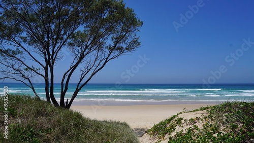 Fototapeta Naklejka Na Ścianę i Meble -  Küste | Strand von Byron Bay in Australien