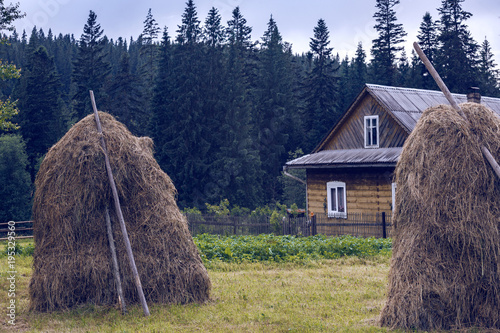 Papier peint haystack in the Ukrainian Carpathian village