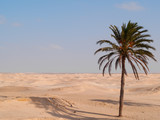 Douz-Tunisia, Sahara desert in southern Tunisia, sand dunes