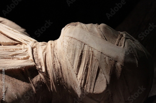 mummia egizia photo