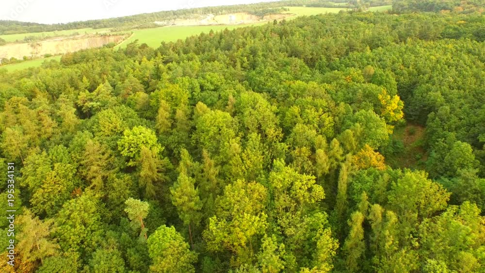 Aerial view of a spring sunset forest Aerial view of a spring sunset forest