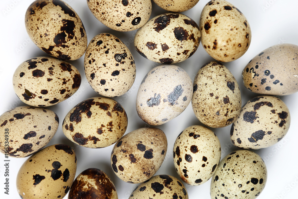 quail eggs close-up on a white background quail eggs close-up on a white background