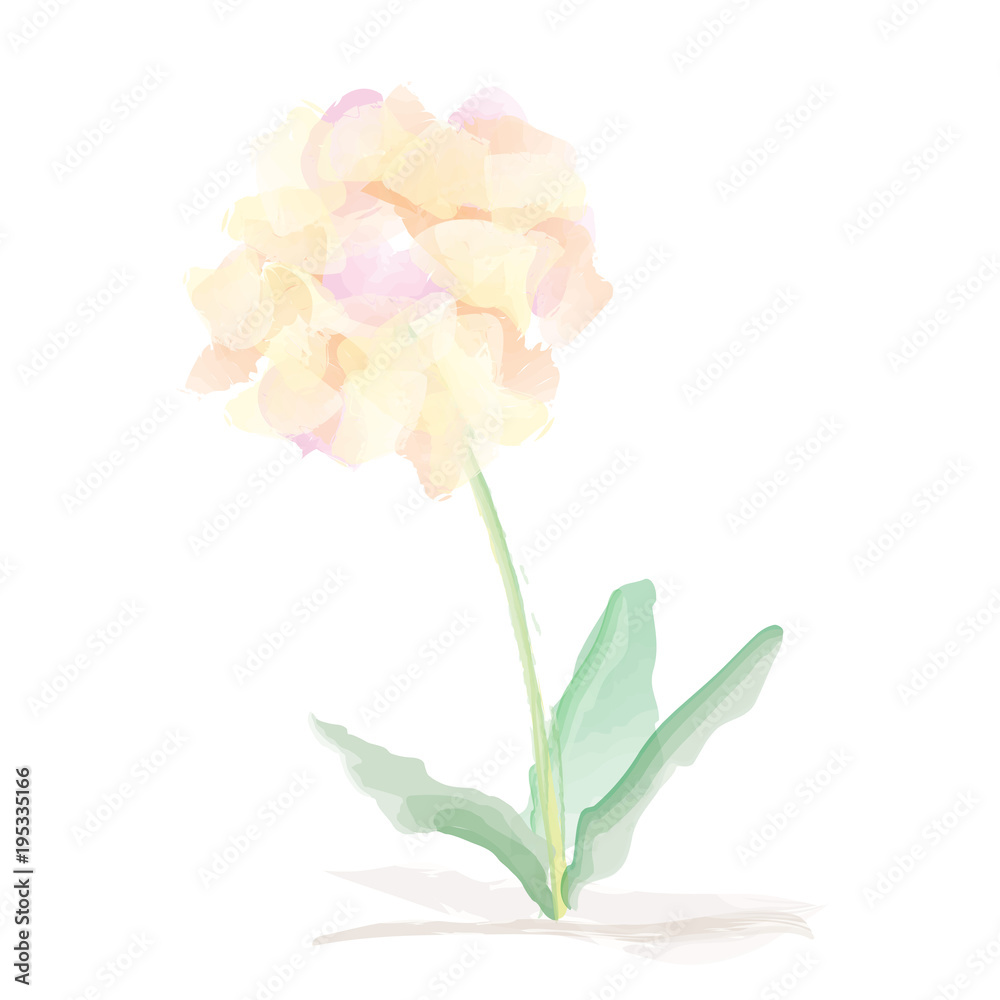 Fototapeta premium Watercolor Vector Flowers