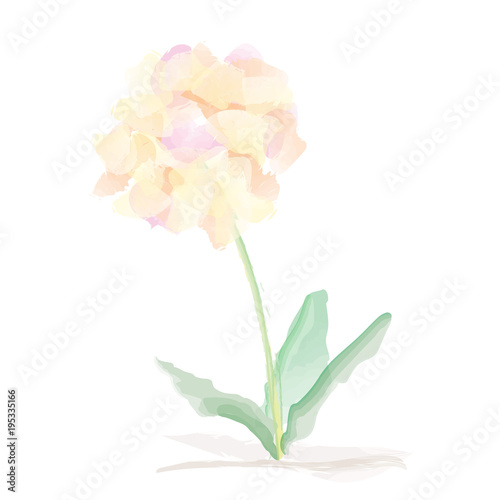 Fototapeta Naklejka Na Ścianę i Meble -  Watercolor Vector Flowers