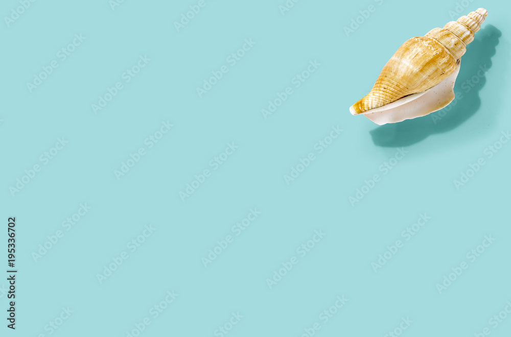 Summer shell on blue flat background Summer shell on blue flat background
