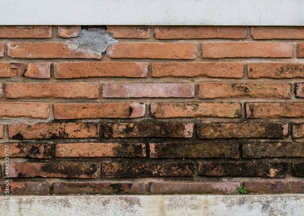 Texture of old brick wall background