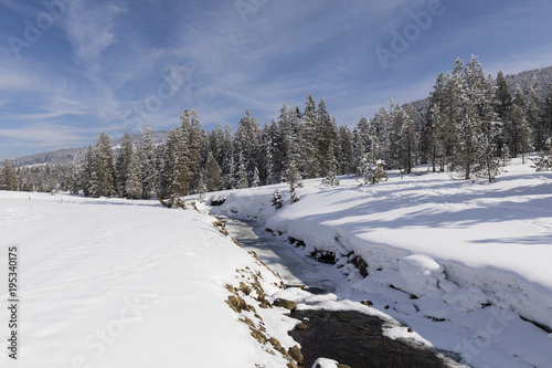 Winter landscape in Switzerland with snowy trees and a creek