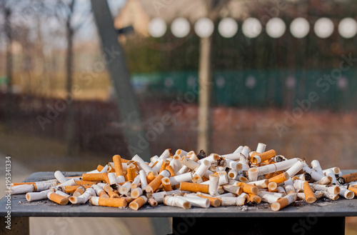 Cluster of cigarette butts gathered from smokers