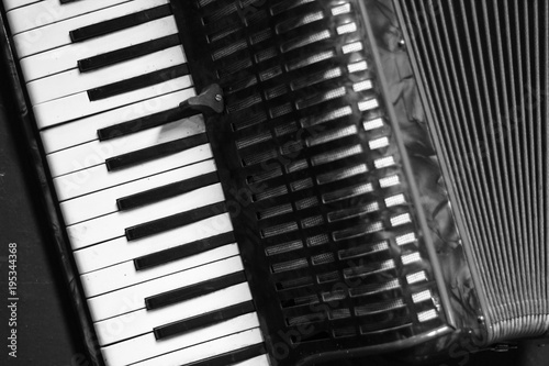 Фотография professional vintage accordion