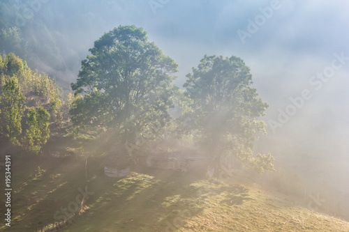 Beautiful landscape of a misty morning with fog over the trees and houses, Dumesti, Alba County, Romania