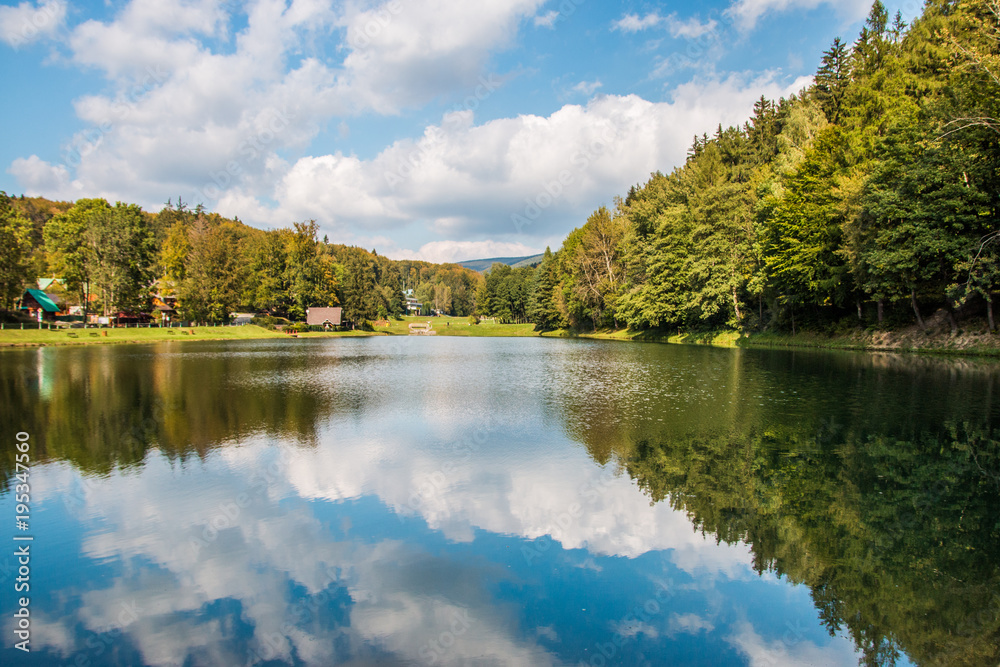 Fototapeta premium nature