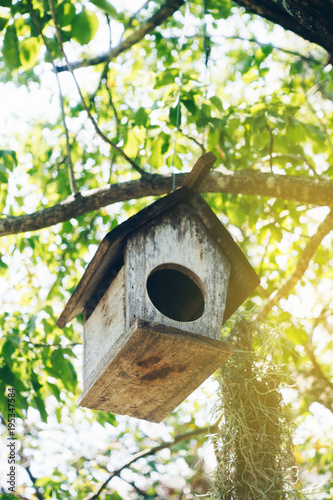 Little wooden birdhouse hanging on tree.