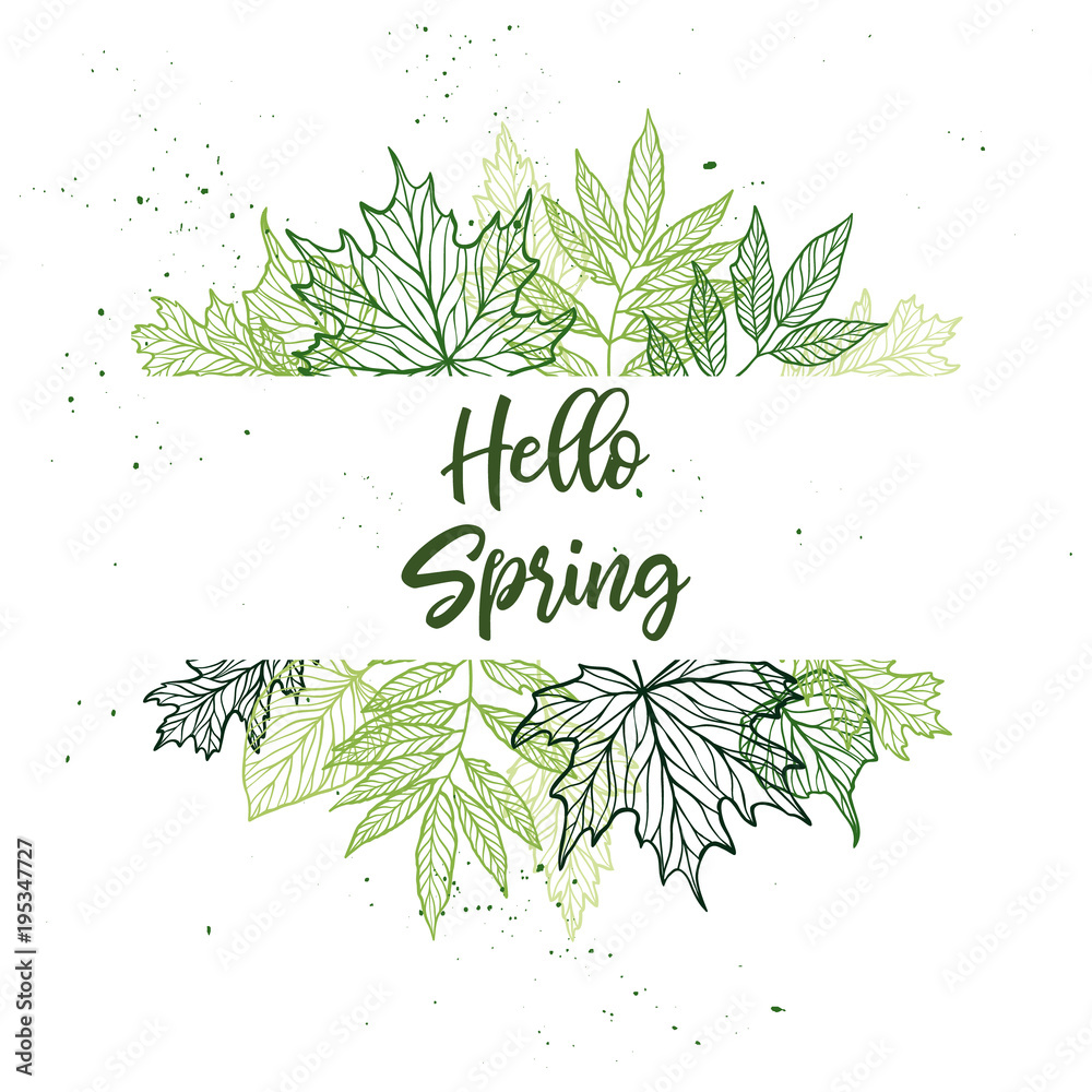 Obraz Hand drawn vector illustration. Spring label with green leaves, herbs and branches. Floral Design elements. Perfect for wedding invitations, greeting cards, blogs, posters and more