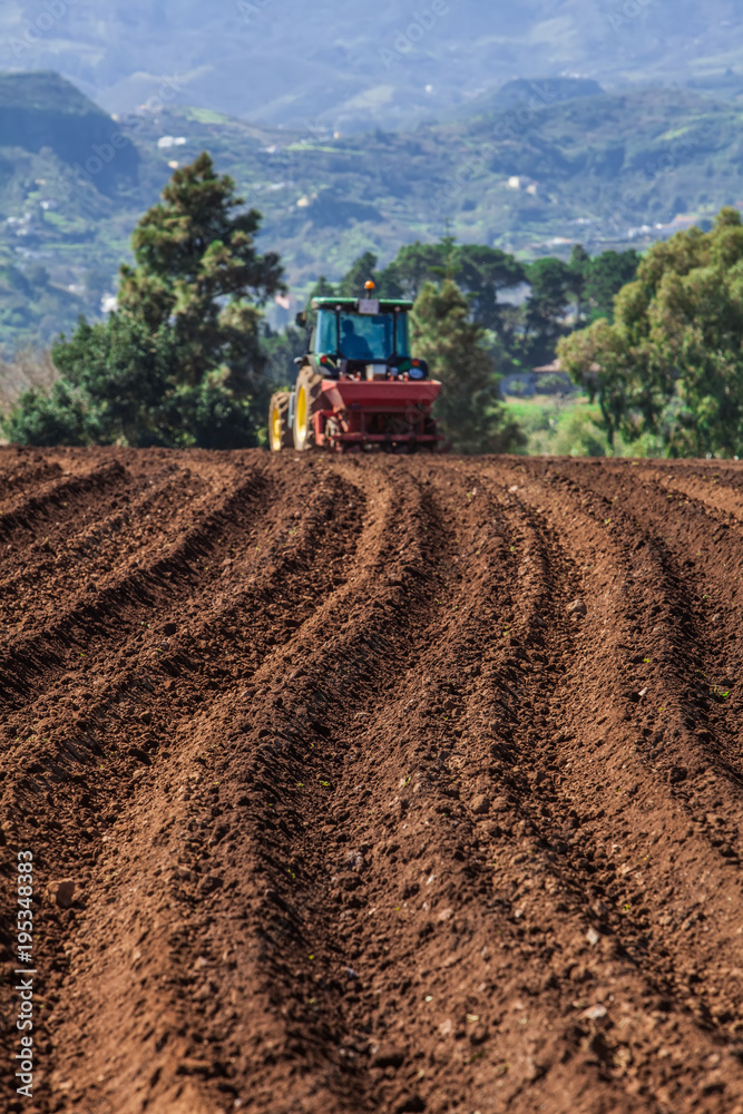 Naklejka premium Tractor on potato field