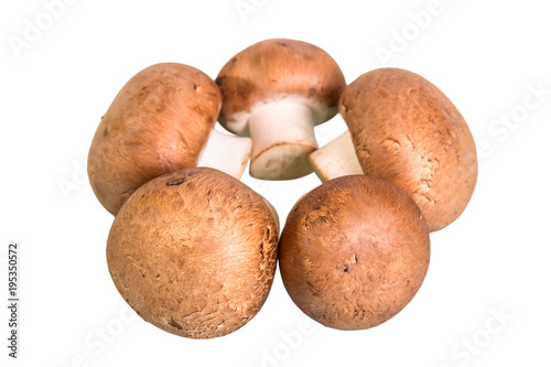 Bunch of fresh fragrant mushrooms of champignons isolated on white
