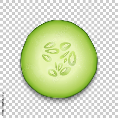Photo-realistic 3d slice juicy cucumber icon closeup isolated on transparency grid background, top view. Design template for graphics, food vector illustration