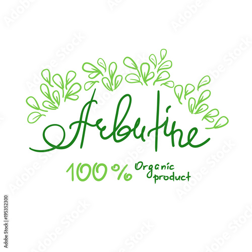 Arbutin Organic product handwritten name of arbutin. Print for labels, advertising, price tag, brochure, booklet, tablets, cosmetics and cream packaging. Natural vegetable herbal, botanical style,
