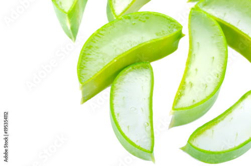 Aloe vera isolated on white background