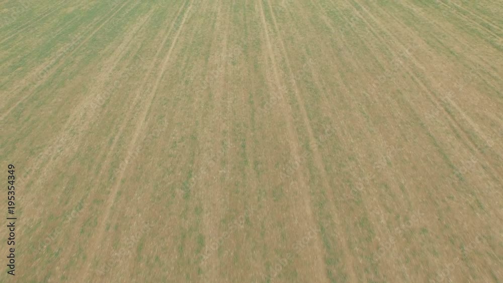 Aerial view of a grassy field. Aerial view of a grassy field.
