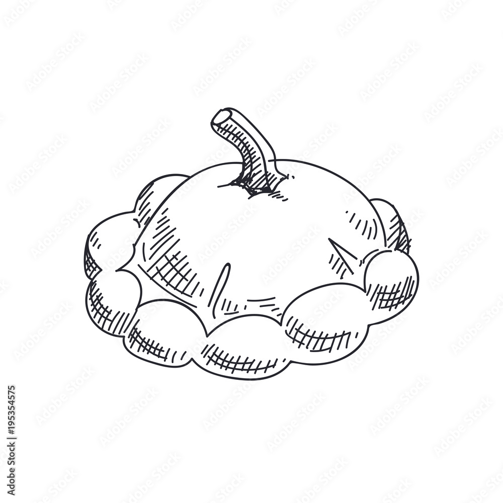 Beautiful vector hand drawn vegetables Illustration. Beautiful vector hand drawn vegetables Illustration.