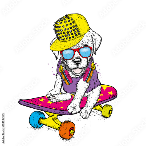 Funny dog on a skateboard. Vector illustration. Pedigree dog. Puppy wearing a cap and headphones.