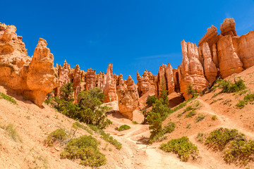 Fotobehang Canyon Wandeling door Bryce Canyon Utah  © Simon Dannhauer