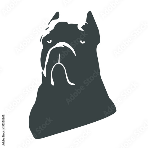 Cane Corso Italiano silhouette. Icon dog breed Italian cane Corso black on a white background. Logo and design element. Vector.