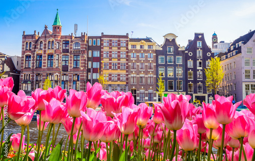 Photography Traditional old buildings and tulips in Amsterdam, Netherlands