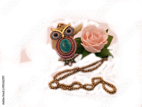 jewelry owl and the rose photo