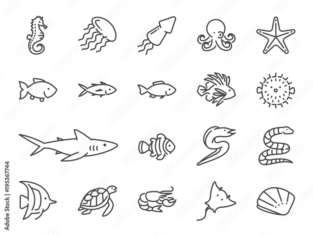 Obraz premium Zestaw ikon linii życia oceanu. Zawiera ikony takie jak ryby morskie, ryby morskie, rekin, konik morski, płaszczka, makrela, muszla, tuńczyk i inne.