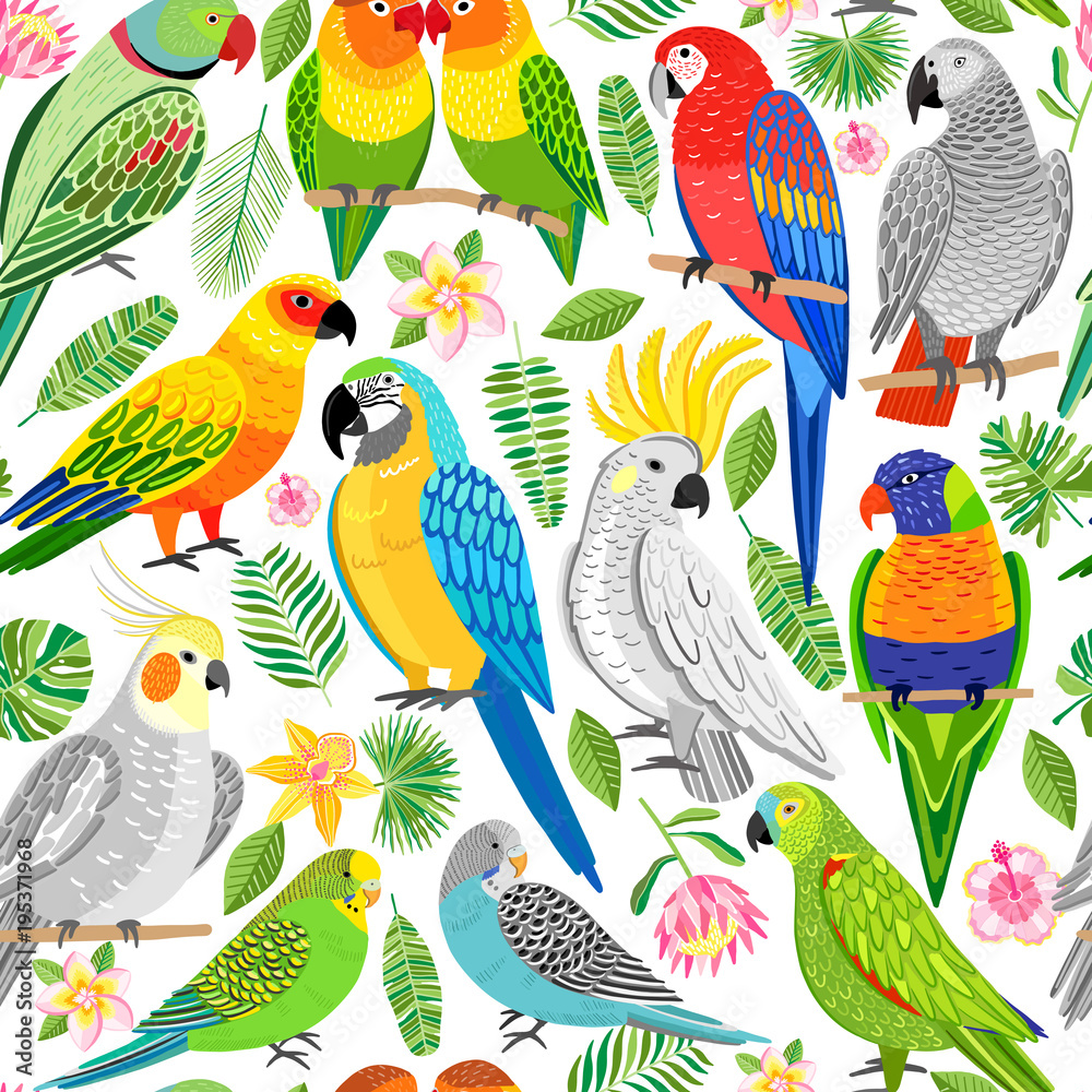 Obraz premium Papuga wzór. Tropikalny, tło ptak dżungli