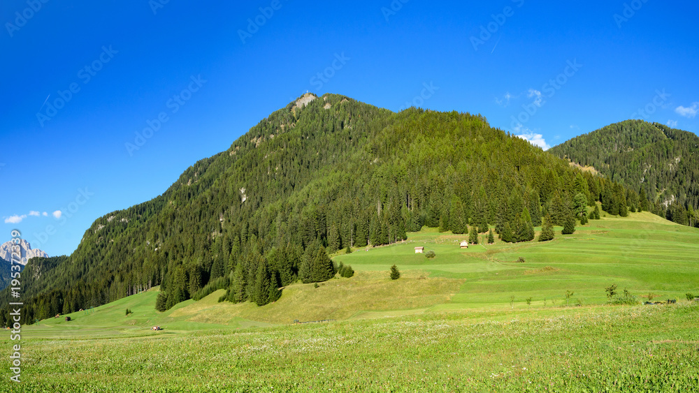 alpine meadow in the dolomites