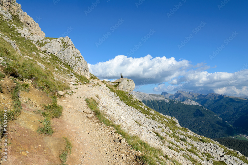 Catinaccio mountain massif summits, Dolomiti, Italy	