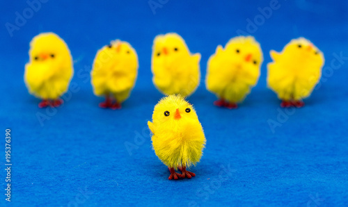 Gelbe Osterhühner auf blauem Untergrund