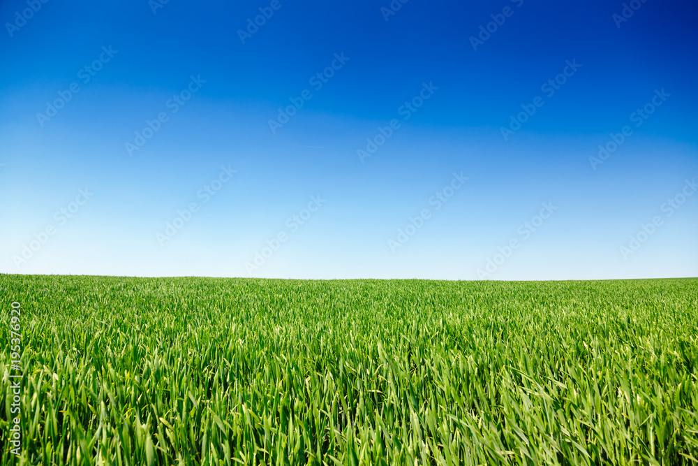 Idyllic summer landscape in Southern England UK Idyllic summer landscape in Southern England UK